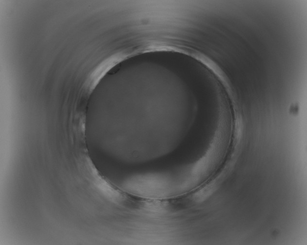 X0000113850809200910221417