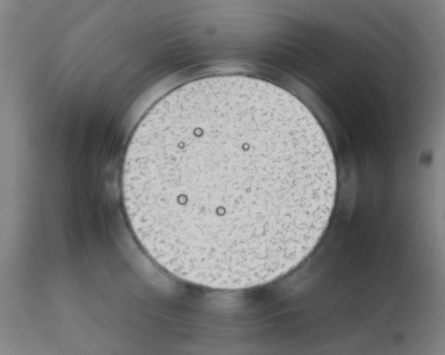 X0000113850810200910221417