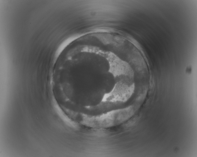 X0000113850811200910221417