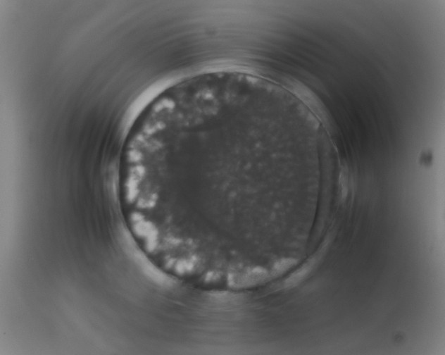 X0000113850812200910221417