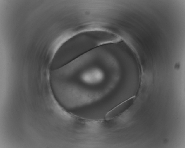 X0000113850813200910221417