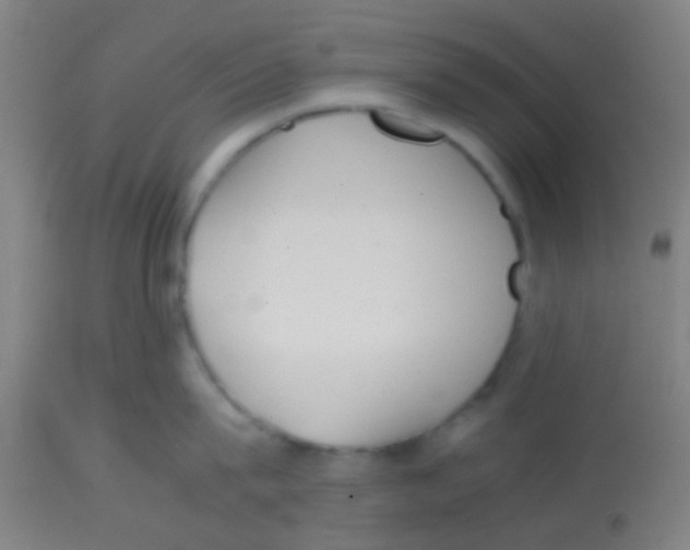 X0000113850815200910221417