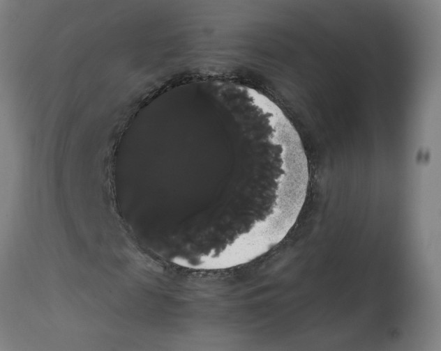 X0000113850817200910221417