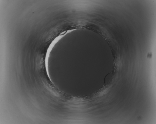 X0000113850818200910221417