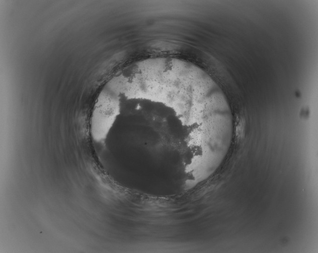 X0000113850819200910221417