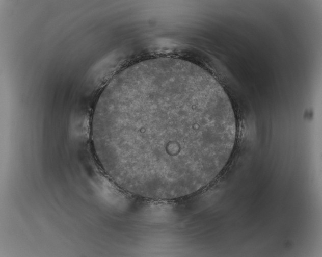 X0000113850820200910221417