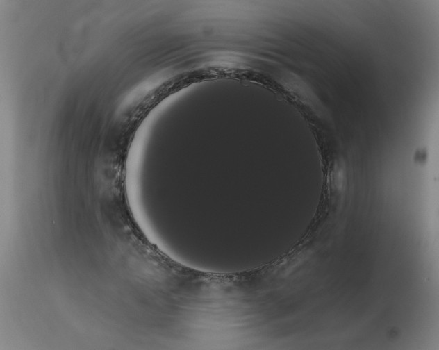 X0000113850822200910221417