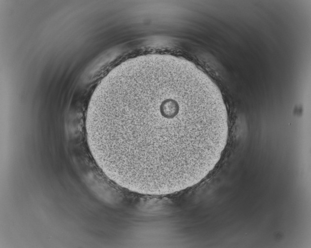 X0000113850824200910221417