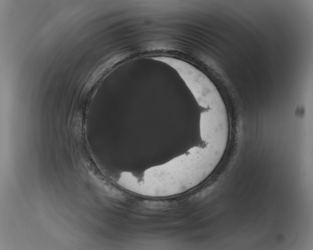 X0000113850825200910221417