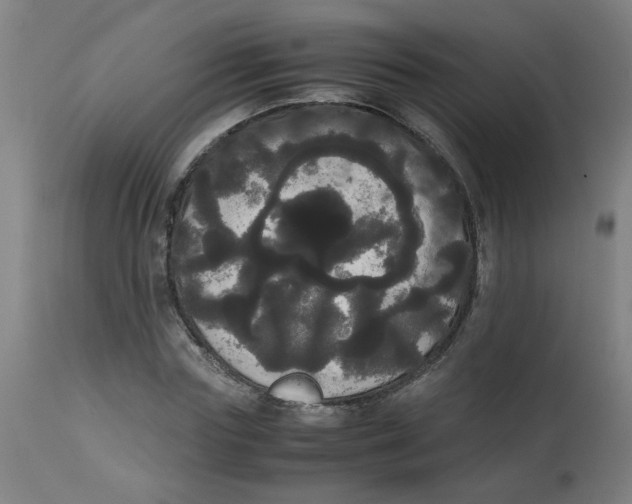 X0000113850827200910221417