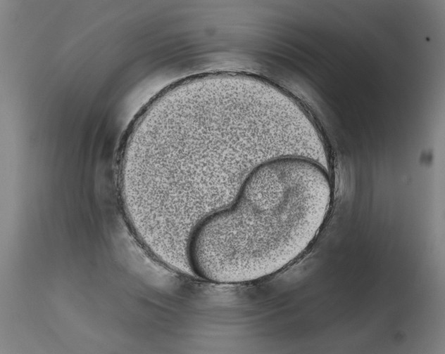 X0000113850828200910221417