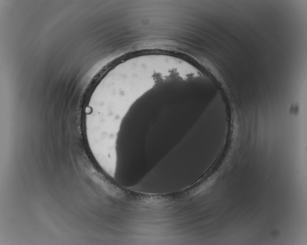 X0000113850830200910221417