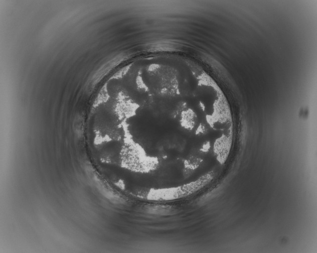 X0000113850833200910221417