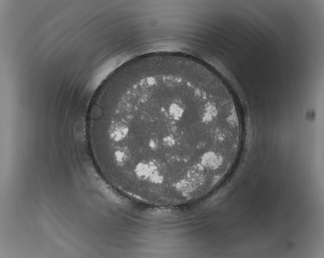 X0000113850834200910221417