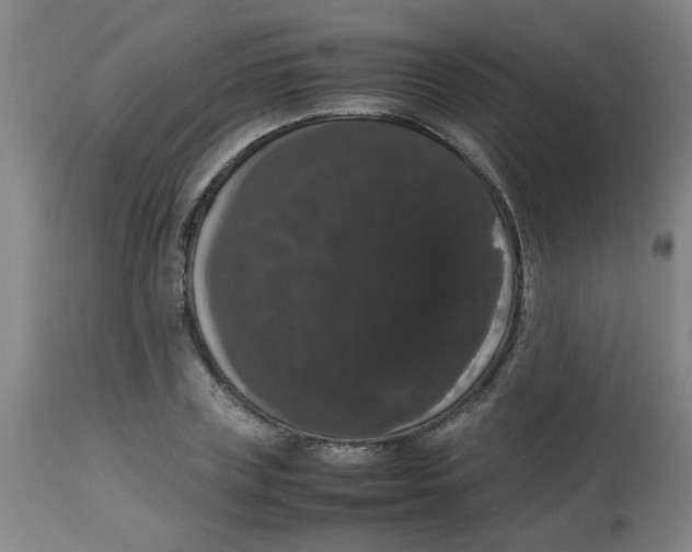 X0000113850835200910221417