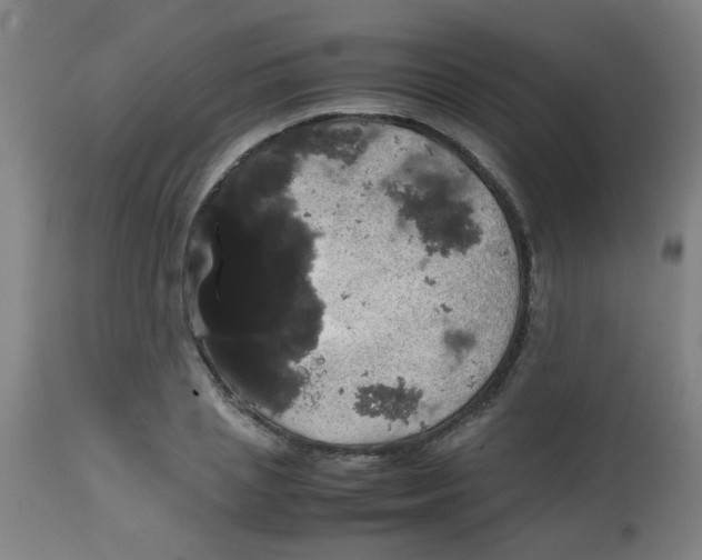 X0000113850837200910221417