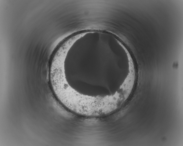 X0000113850838200910221417