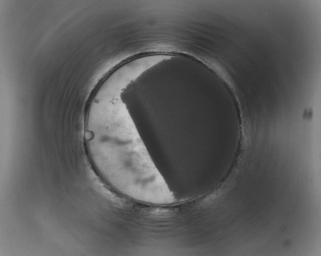 X0000113850839200910221417