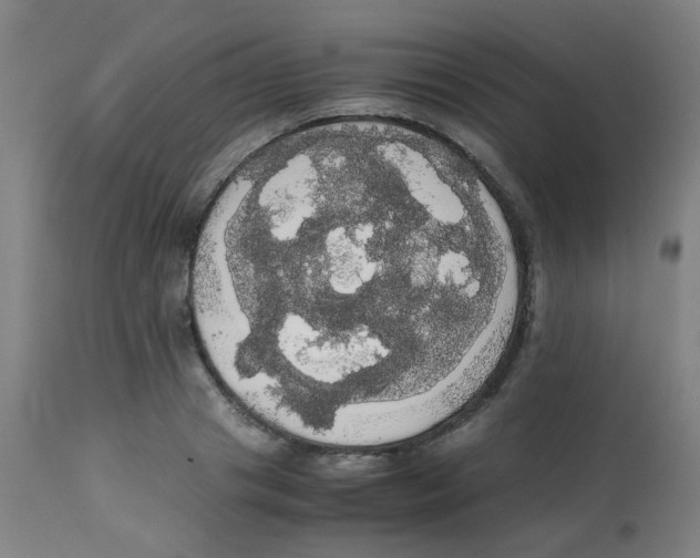 X0000113850841200910221417