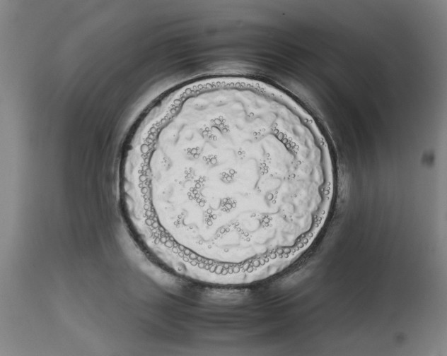 X0000113850843200910221417