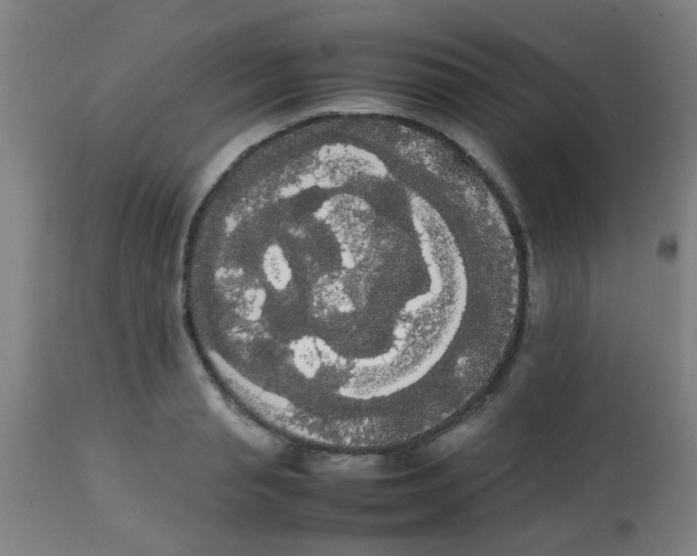 X0000113850845200910221417