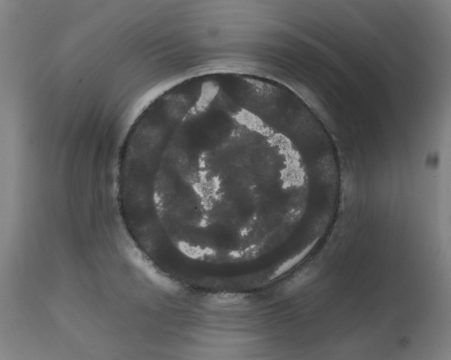 X0000113850846200910221417