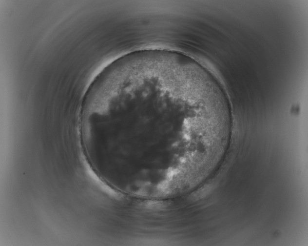 X0000113850847200910221417