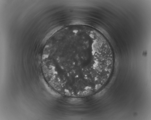 X0000113850849200910221417