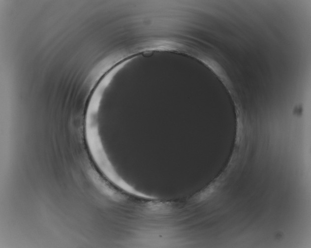 X0000113850850200910221417