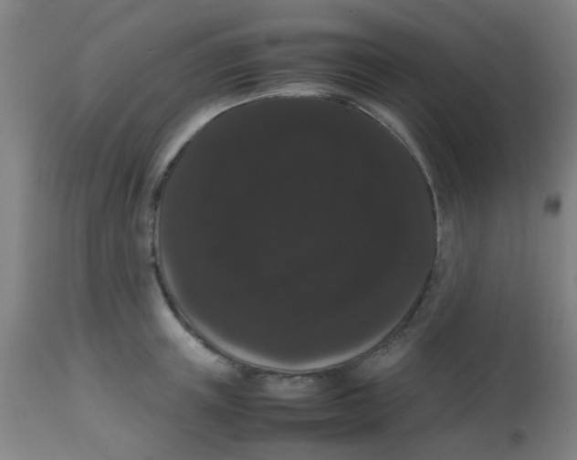 X0000113850851200910221417