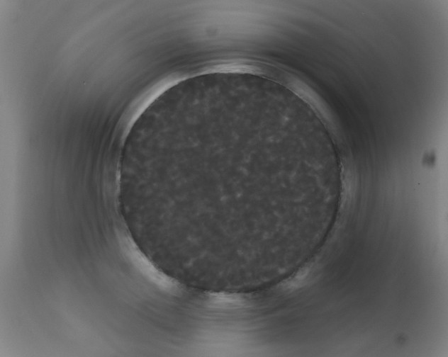 X0000113850852200910221417