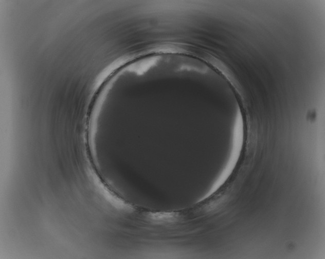 X0000113850853200910221417