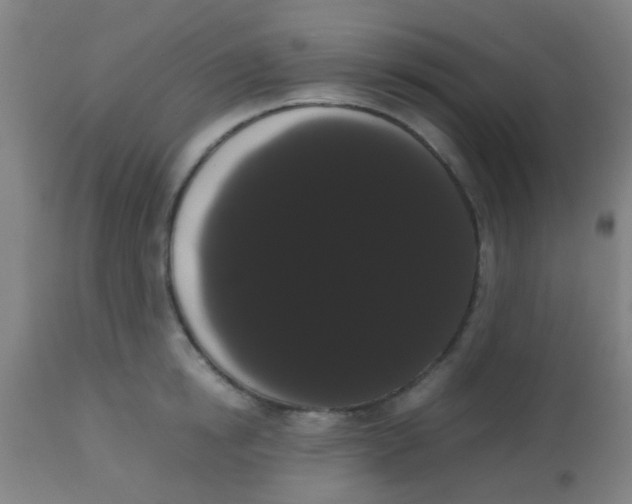 X0000113850854200910221417