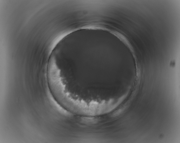 X0000113850855200910221417