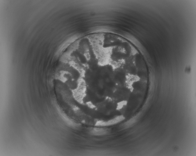 X0000113850857200910221417