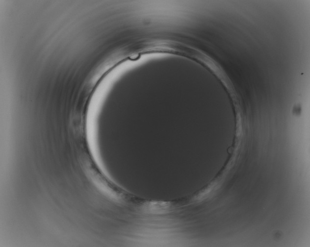 X0000113850858200910221417