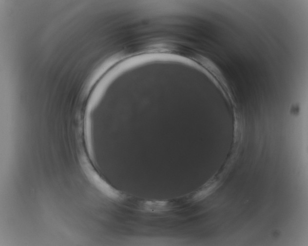 X0000113850859200910221417