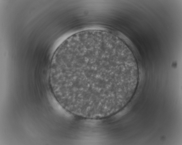 X0000113850860200910221417