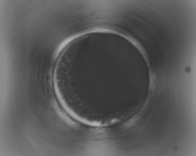 X0000113850862200910221417