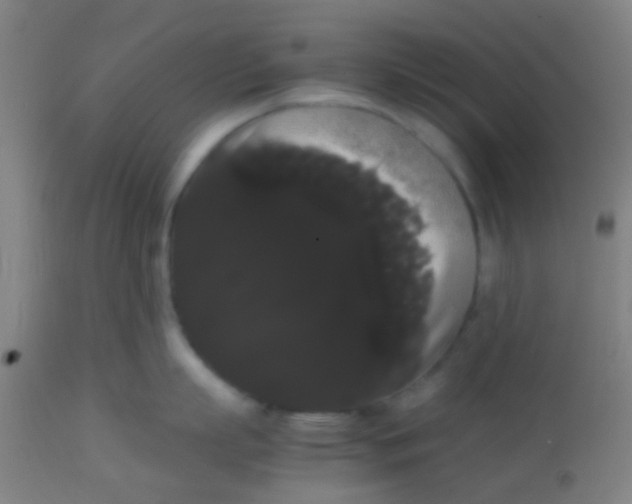 X0000113850863200910221417