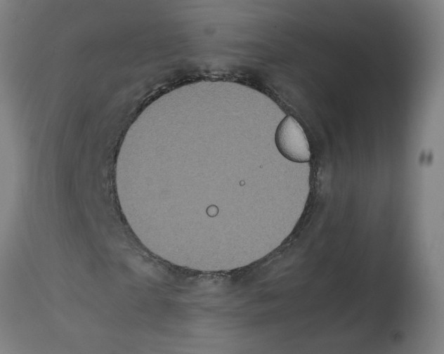 X0000113850865200910221417