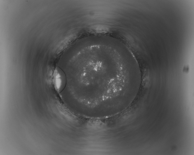 X0000113850866200910221417