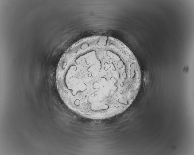 X0000113850867200910221417