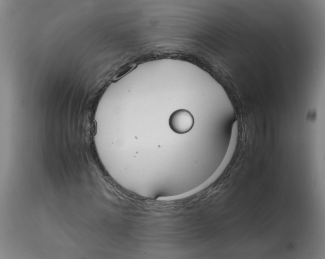 X0000113850868200910221417