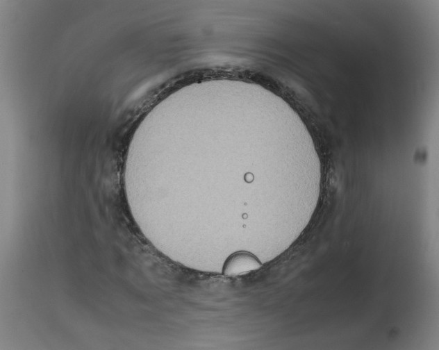 X0000113850869200910221417