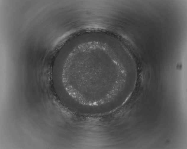 X0000113850870200910221417