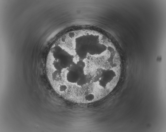 X0000113850871200910221417