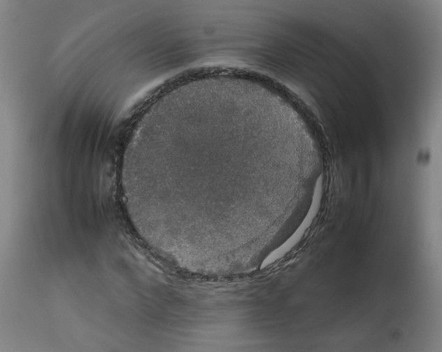 X0000113850872200910221417