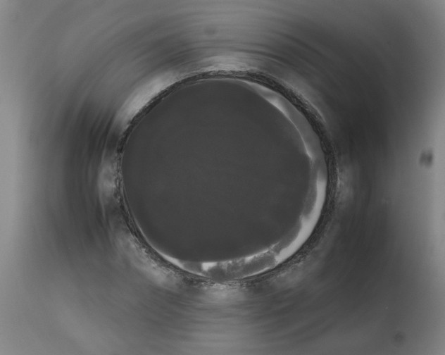 X0000113850874200910221417