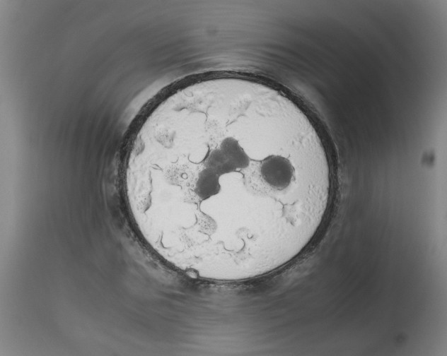 X0000113850875200910221417